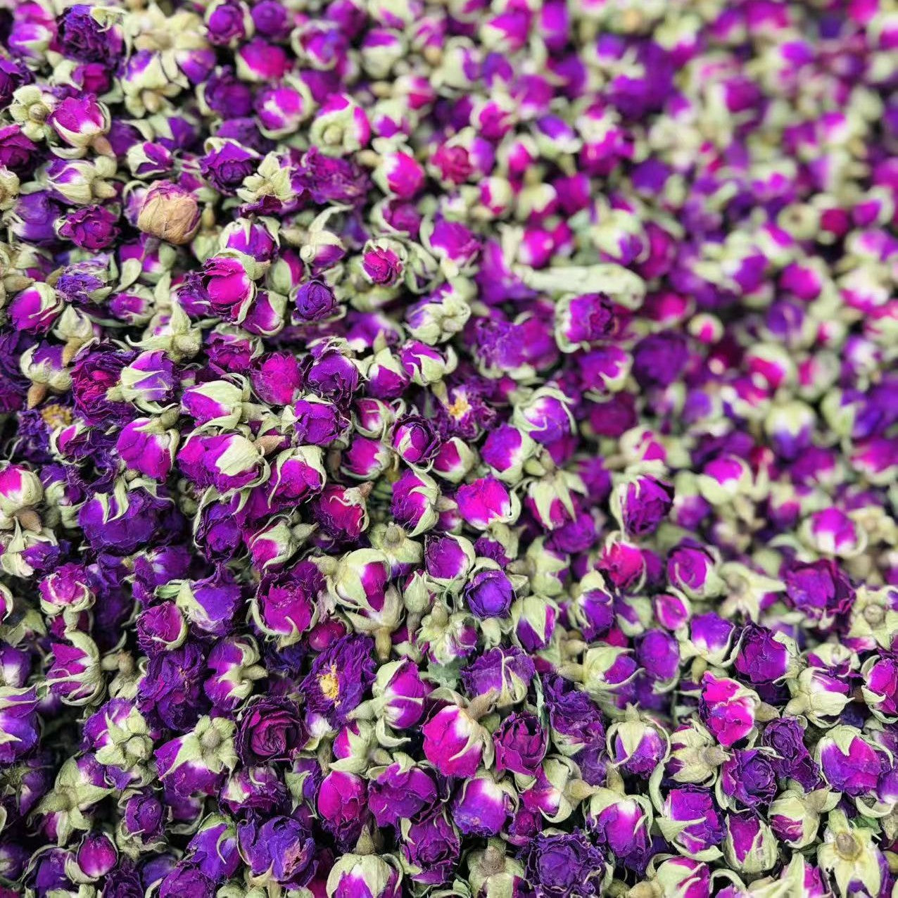 ウイグル産の高品質ローズティー。薔薇のつぼみを自然乾燥させた華やかな香りと彩りが特徴のハーブティーで、ギフトやおもてなし用にも人気。株式会社TOMUR DAWAMAT公式通販で販売中