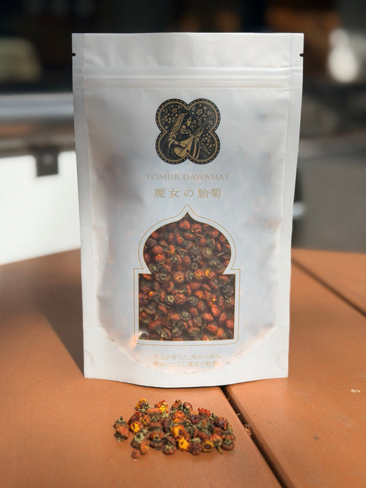 魔女の胎菊 50g｜昆侖山脈が育んだ黄金の蕾